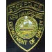 NEW HAMPSHIRE STATE POLICE MINI PATCH PIN